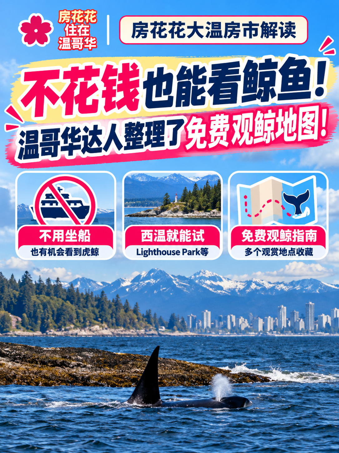 温哥华免费看鲸鱼！这些地方值得收藏