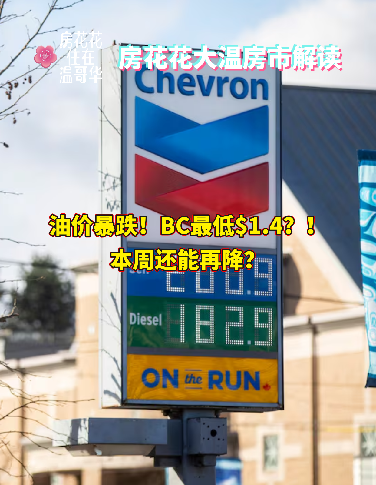 油价暴跌！BC最低$1.4？！本周还能再降？